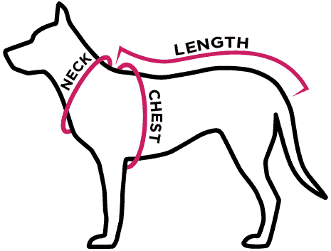 Neck, Chest, Length