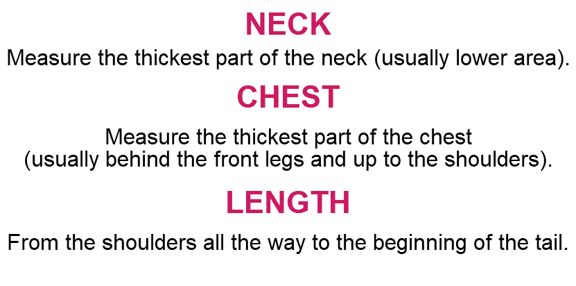 NECK Measure the thickest part of the neck (usually lower area). CHEST Measure the thickest part of the chest (usually behind the front legs and up to the shoulders). LENGTH From the shoulders all the way to the beginning of the tail.